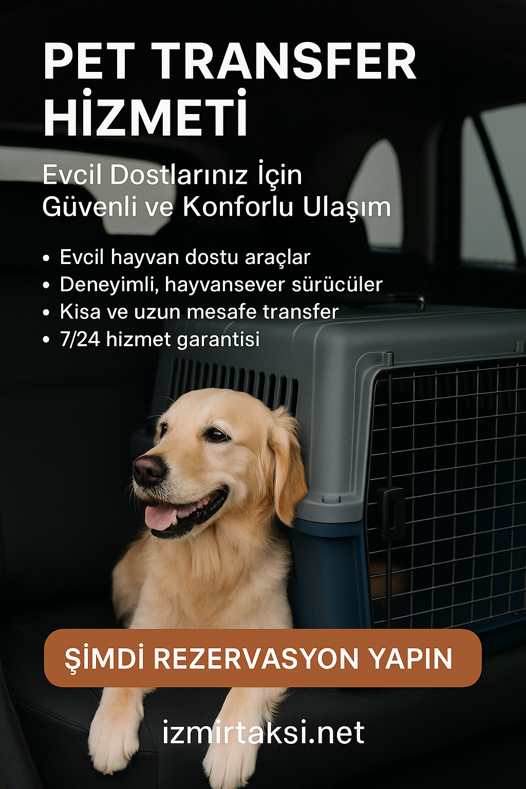 pet transferi